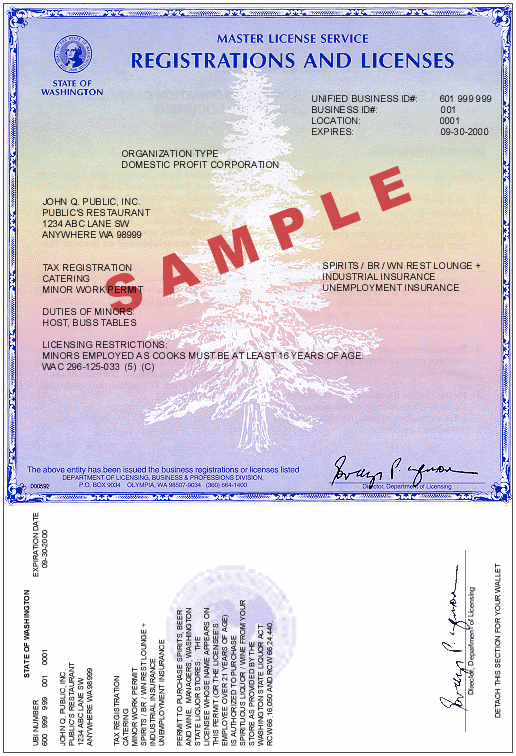 Business License