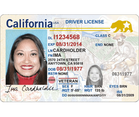 Driver's License or State Issued Photo I.D.